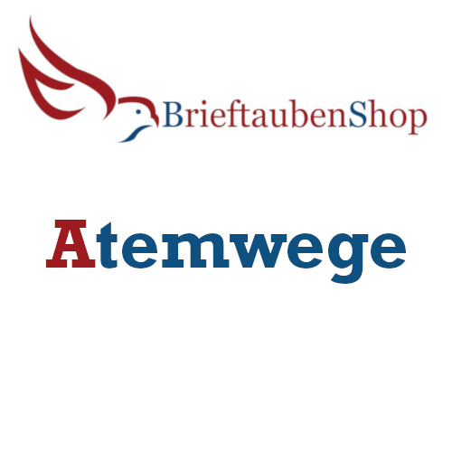 Atemwege