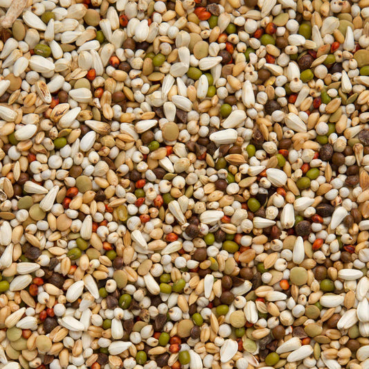 BEYERS Zoontjens Basis Gelb 25kg (Versandkostenfrei) für Haustiere im Tierfutterpro Shop