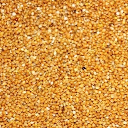 Eurital Hirse Gelb 5 kg