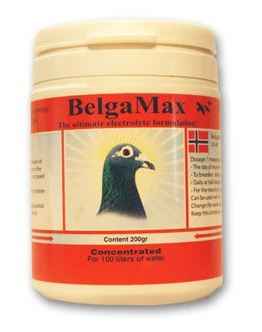 Pigeon Vitality BelgaMax 400g für Haustiere im Tierfutterpro Shop