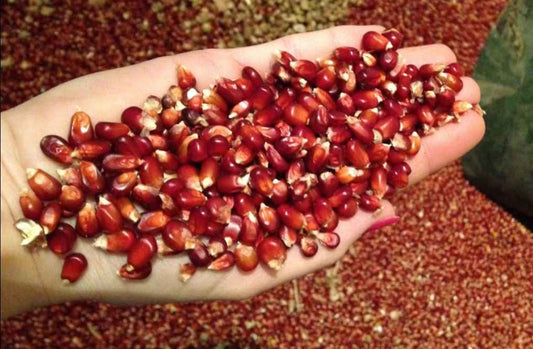 Vanrobaeys - Bordeaux Mais Nr. 200 rot 2.5 kg für Haustiere im Tierfutterpro Shop