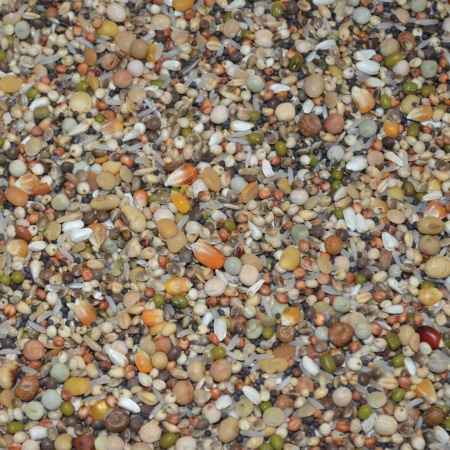 Vanrobaeys_Premium_Power_Zucht_Nr_182_20kg