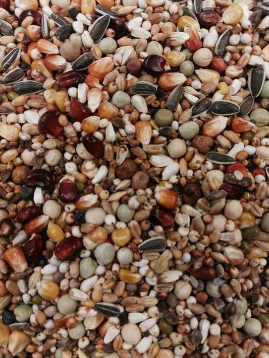 BTS Allround Topp Futter 20kg (Versandkostenfrei) für Haustiere im Tierfutterpro Shop