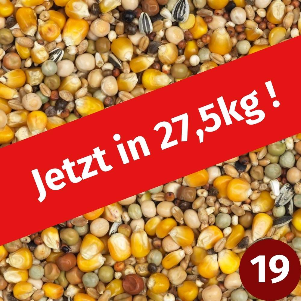 Vanrobaeys 27,5kg - Zucht und Reise Standard Nr.19