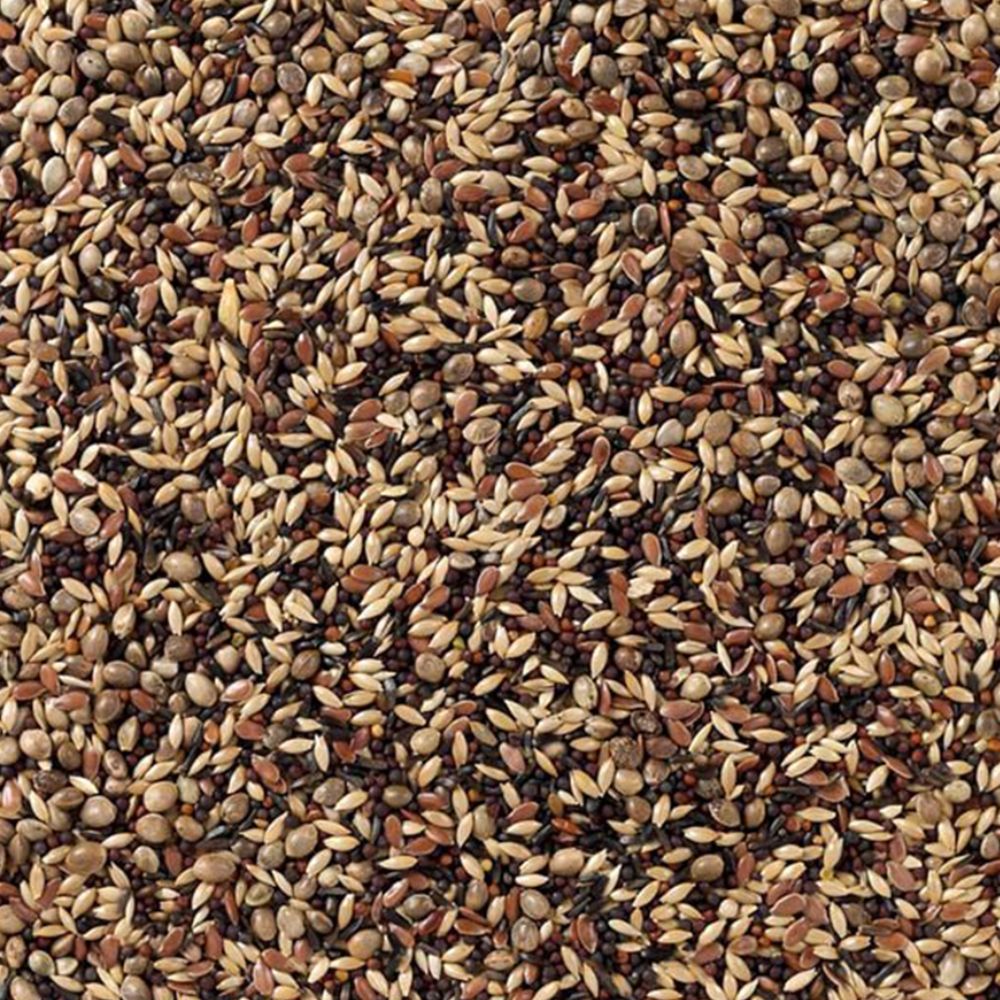 Deli Nature Nr. 48 Zeisige & Stieglitze 20 kg