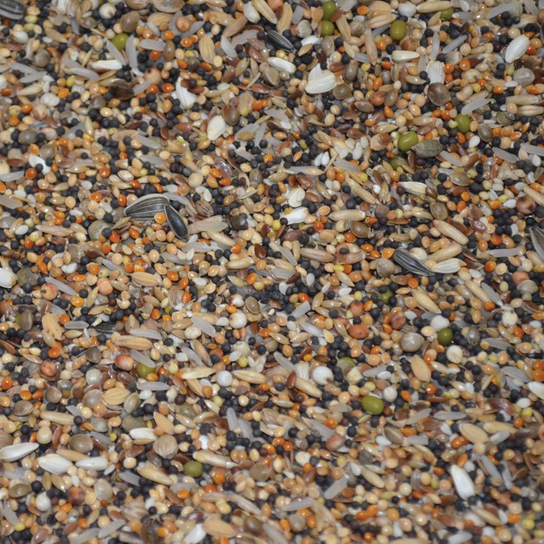 Sämereien Lockfutter - 2,5 kg für Haustiere im Tierfutterpro Shop