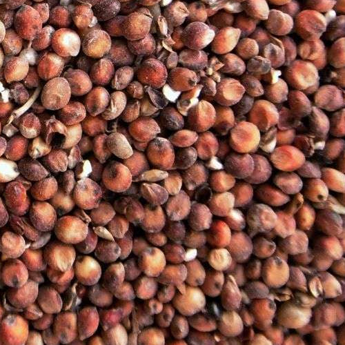 Milokorn Rot 2,5 kg für Haustiere im Tierfutterpro Shop