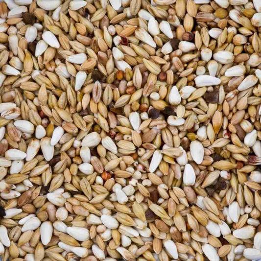 Alleinfuttermittel für Tauben BEYERS Diät Spezial Nr.23 25kg