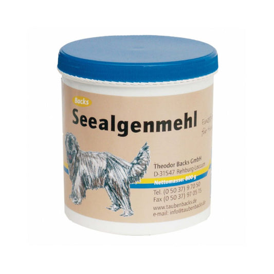 Seealgenmehl für Hunde – reich an Jod, Mineralien und Omega-3