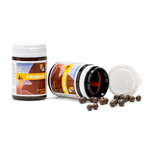 Belgica de Weerd Superboli detail