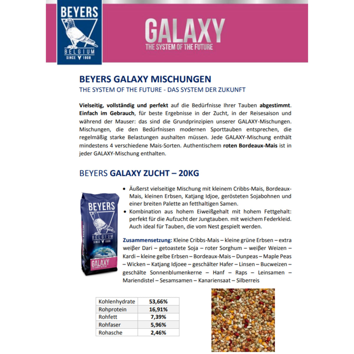 Beyers Zucht Galaxy 20kg