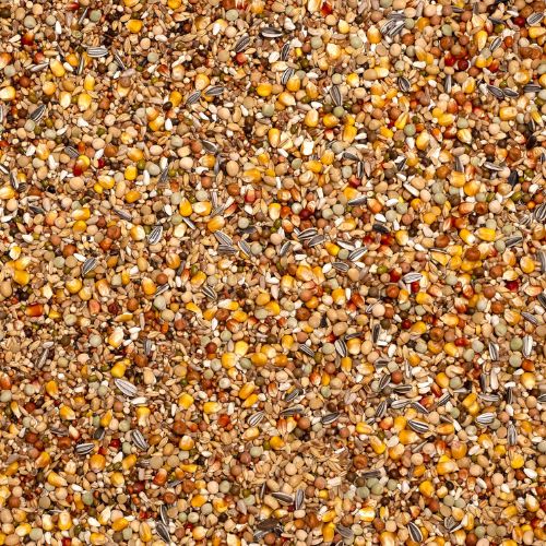 Beyers Olympia 53- Zucht & Mauser 20kg futter detail