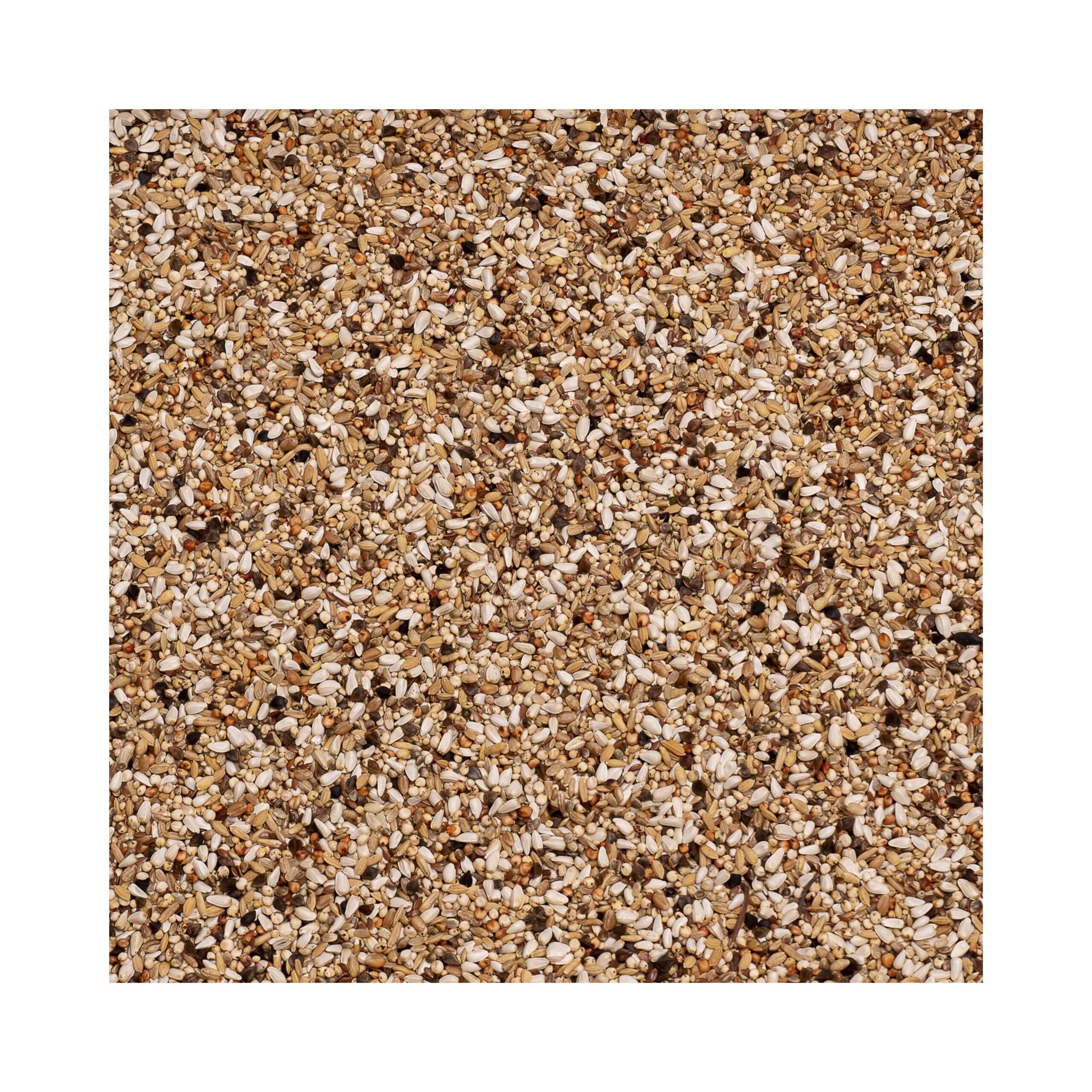 Beyers Premium Hi-Digest Energy, Zu Beginn der Woche, während der Reisesaison, sorgen sie für eine schnelle Erholung und den Aufbau für den nächsten Flug.