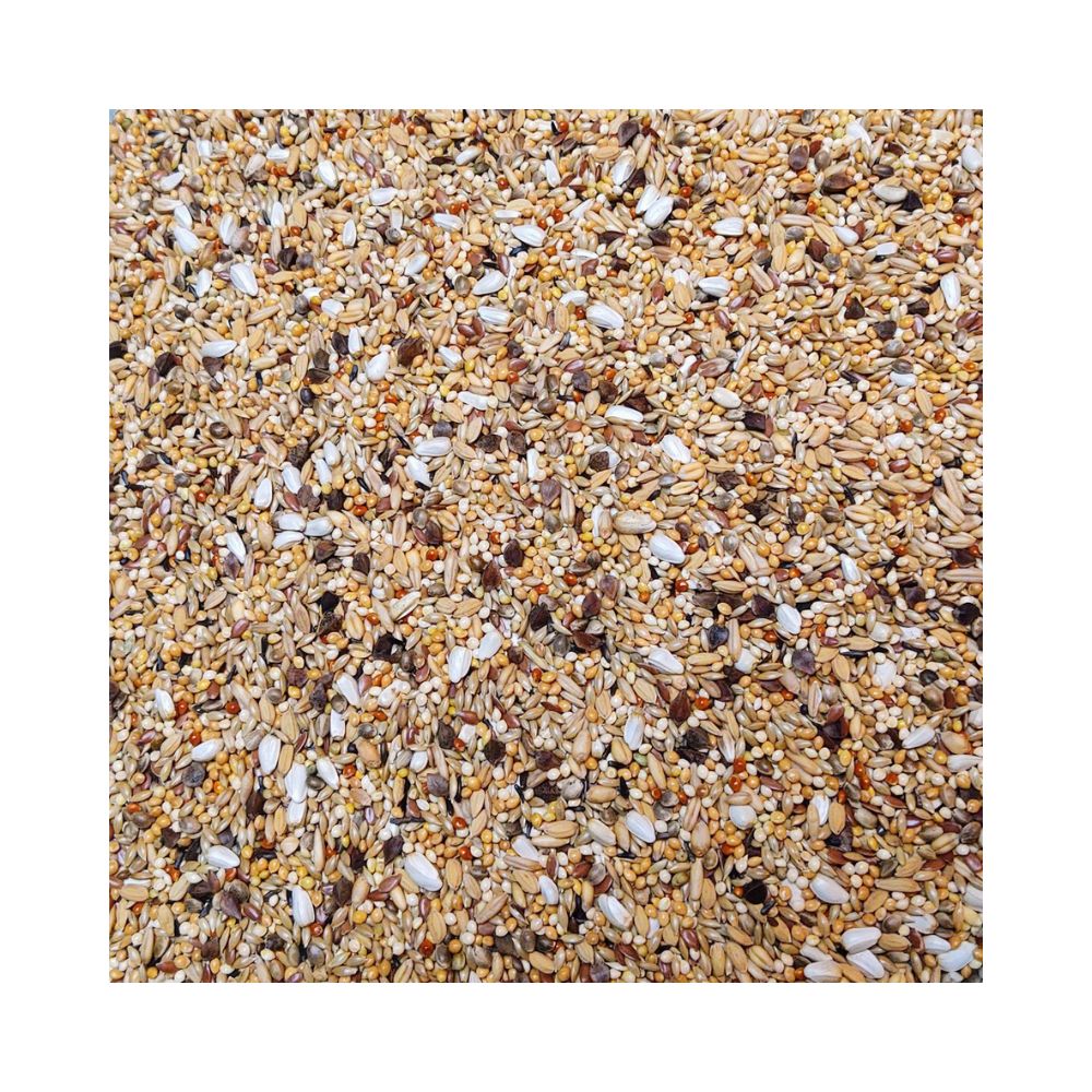 Bird Supreme Aga Excellent