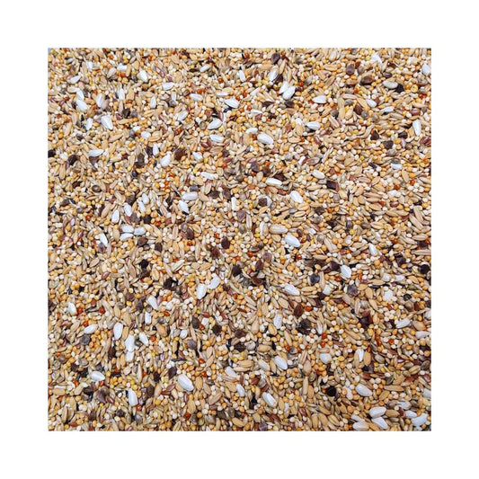 Bird Supreme Aga Excellent