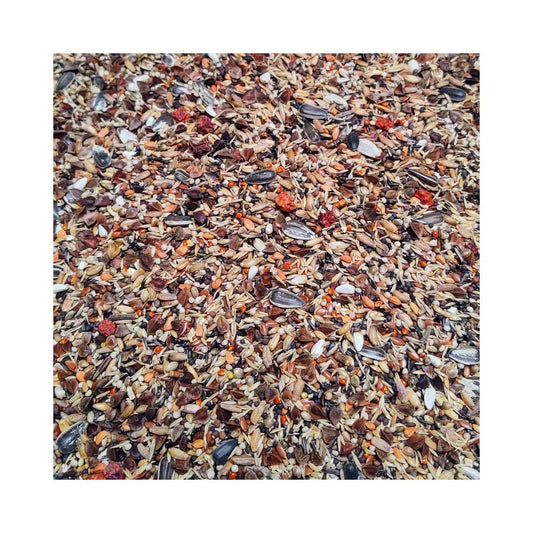 Bird Supreme Dompfaff Excellent