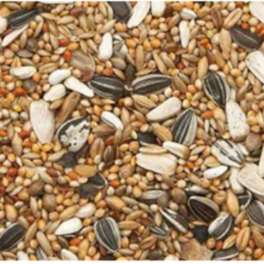 Bird Supreme Großsittich Basis 20kg für Haustiere im Tierfutterpro Shop