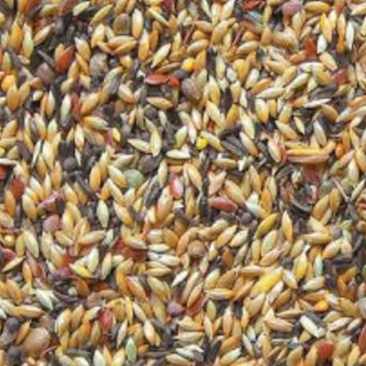 Bird Supreme Kanarien Zucht ohne Rübsen 20kg für Haustiere im Tierfutterpro Shop