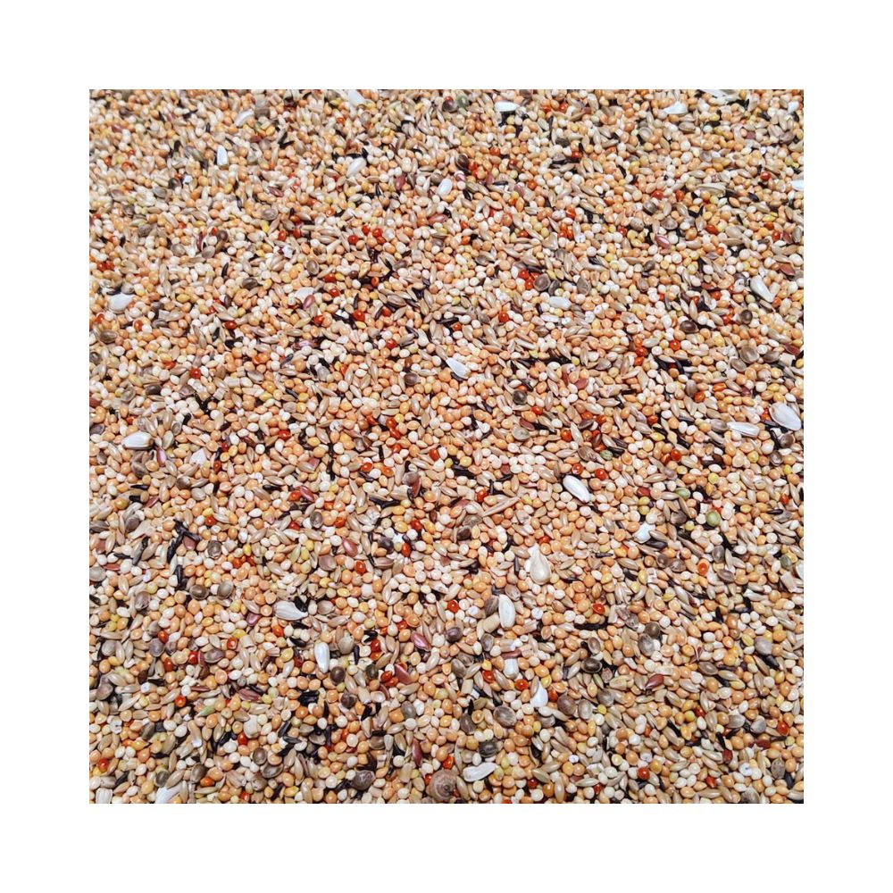 Bird Supreme Neo Excellent