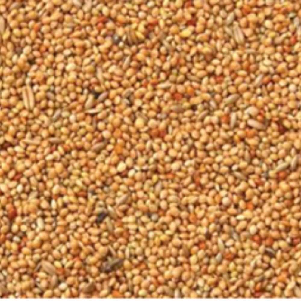 Bird Supreme Wellensittich Basis 20kg für Haustiere im Tierfutterpro Shop