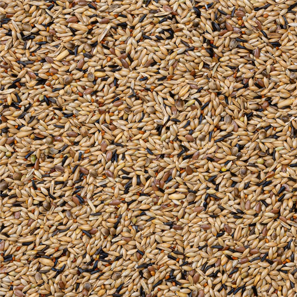 Deli Nature Nr. 80  - Kanarien ohne Rübsen 20kg