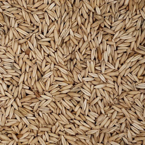 Eurital Derby Hafer 5 kg - Einzelfuttermittel für Tiere