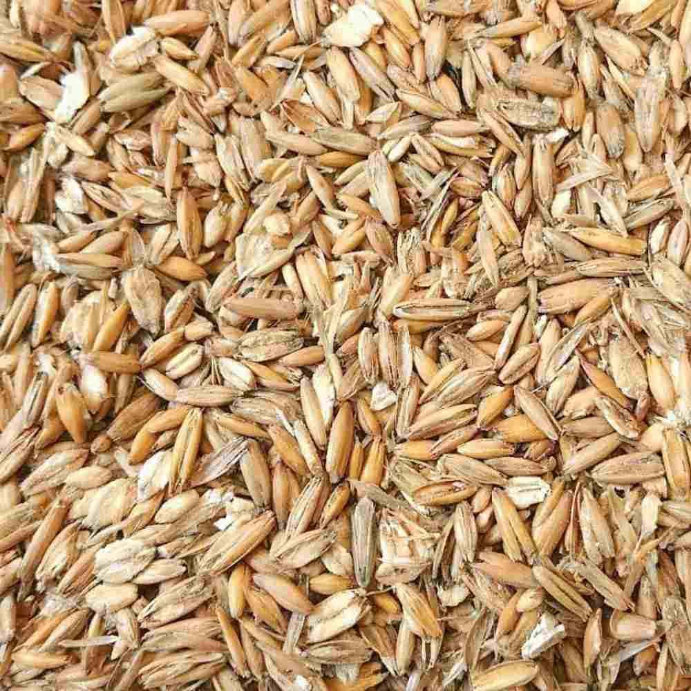 gequetschter Hafer 5 kg für Haustiere im Tierfutterpro Shop