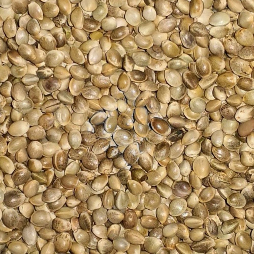 Futter Hanf 2.5kg für Haustiere im Tierfutterpro Shop