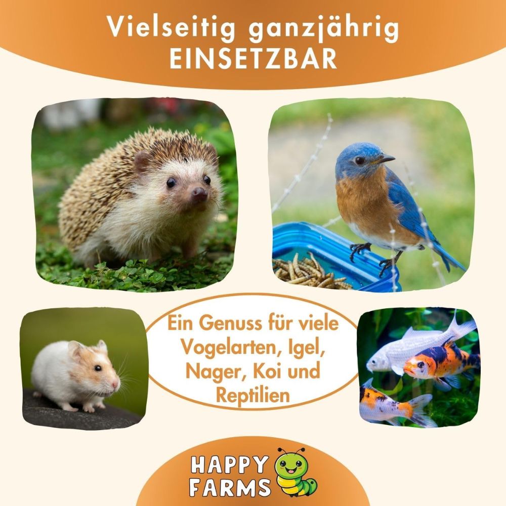 HappyFarms Mehlwürmer getrocknet - 5kg Folienbeutel
