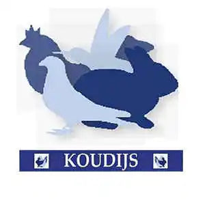 Koudijs Rauchtablette