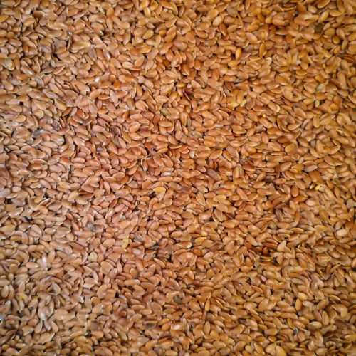 Leinsamen 2,5 kg für Haustiere im Tierfutterpro Shop