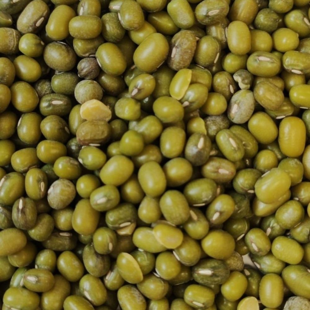 Katjangbohnen 2,5 kg - Mungbohnen für Haustiere im Tierfutterpro Shop