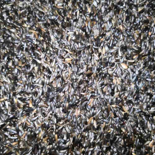 Nigersaat 2,5 kg für Haustiere im Tierfutterpro Shop