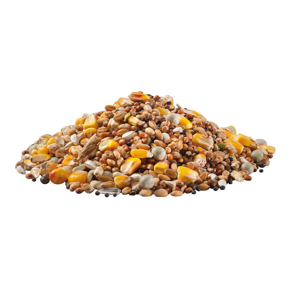 Panto California Zucht und Reise