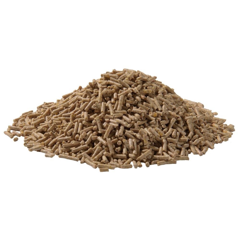 Panto Legewachtel Plus detail