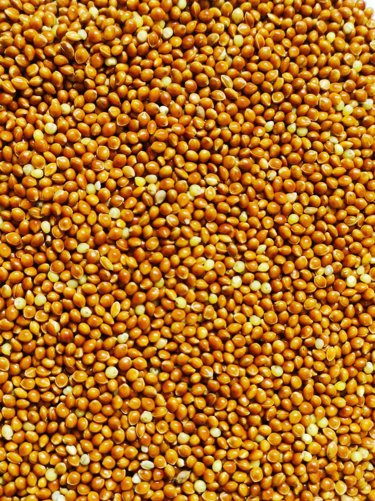 Vanrobaeys - Hirse Rot Nr. 104 - 5 kg