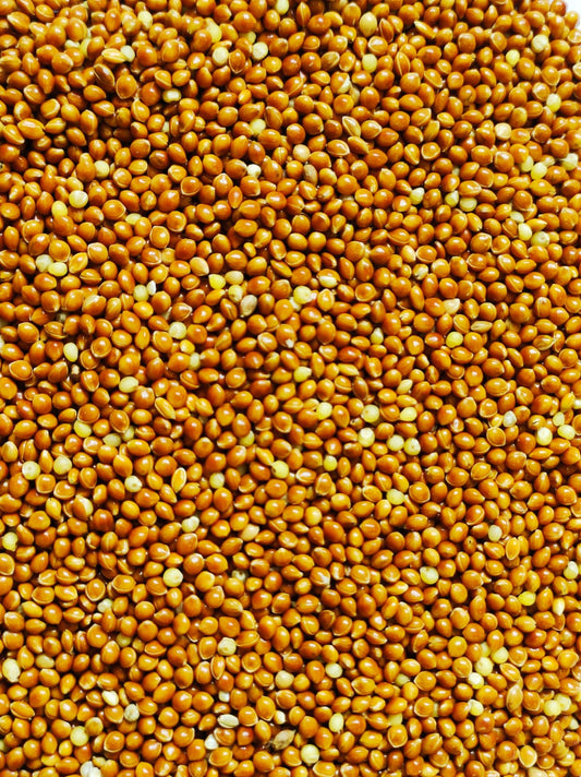 Vanrobaeys - Hirse Rot Nr. 104 - 5 kg