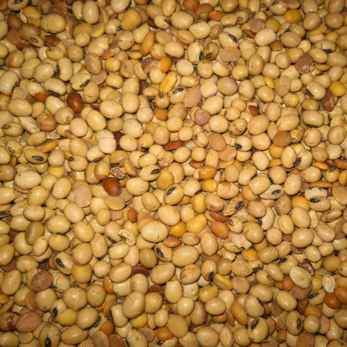 Sojabohnen getoastet 2,5 kg für Haustiere im Tierfutterpro Shop