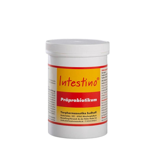 Intestino 500g