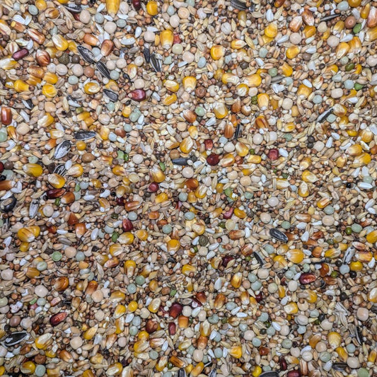 Taubenfutter alle Rassen