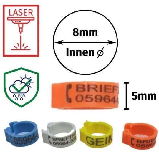 Nummerierungs-Clipringe (graviert mit 1 bis ...)