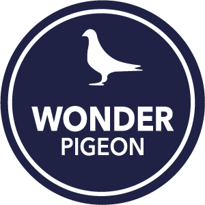 Wonder Pigeon