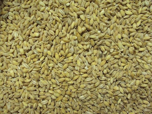 Gerste 2,5 kg für Haustiere im Tierfutterpro Shop