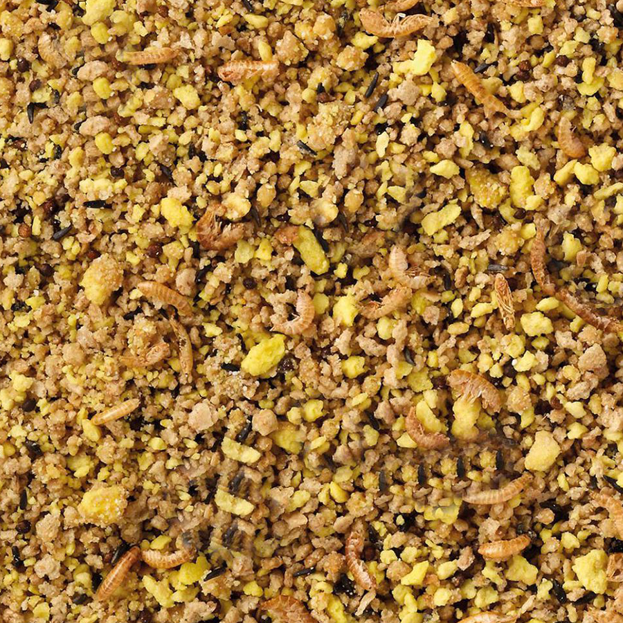 Deli Nature Eifutter Exoten Feucht Detail