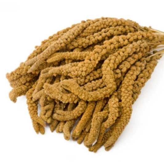 Kolbenhirse gelb, China 1kg für Haustiere im Tierfutterpro Shop