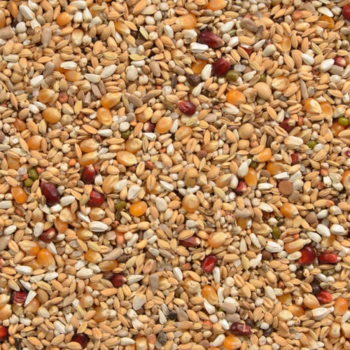 Vanrobaeys - Lady Mix Nr.56 20kg (Versandkostenfrei) für Haustiere im Tierfutterpro Shop