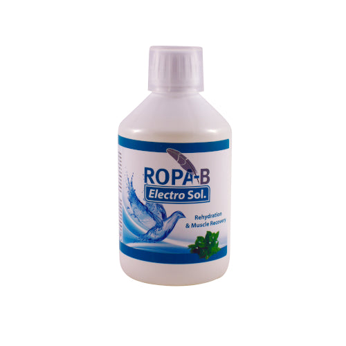 Ropa-B Electro Sol 500ml für Haustiere im Tierfutterpro Shop