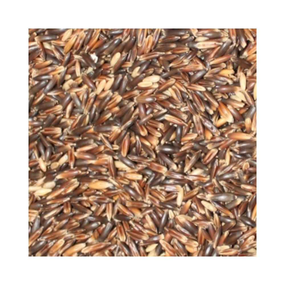 Eurital Schwarzer Hafer 5 kg