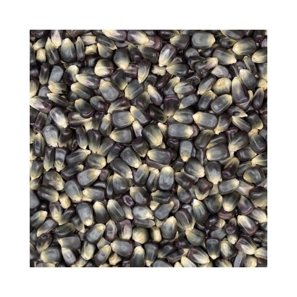 Eurital Schwarzer Mais 5 kg