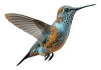 Exoten und Ziervögel